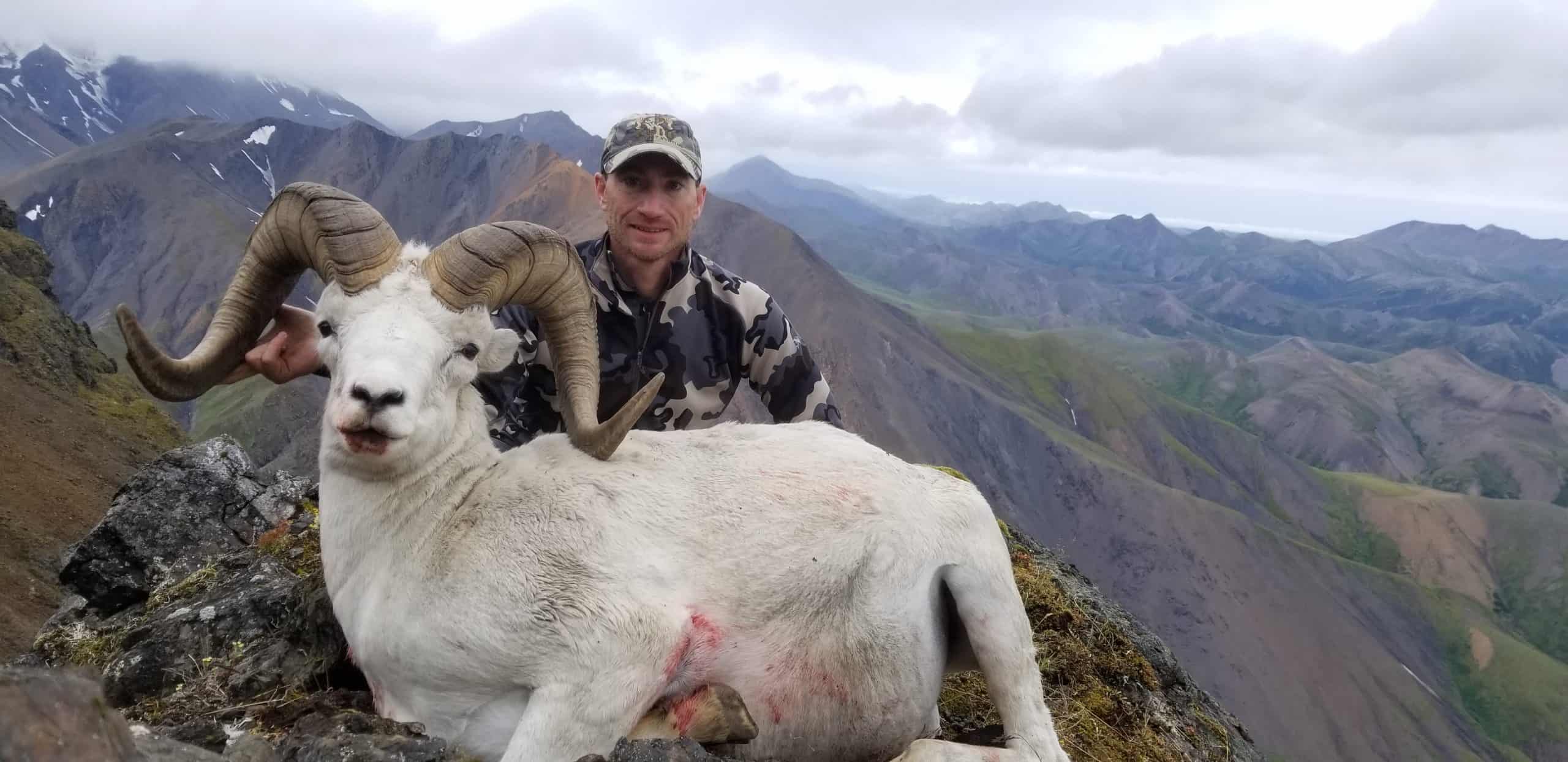 Alaska Dall Sheep Hunts