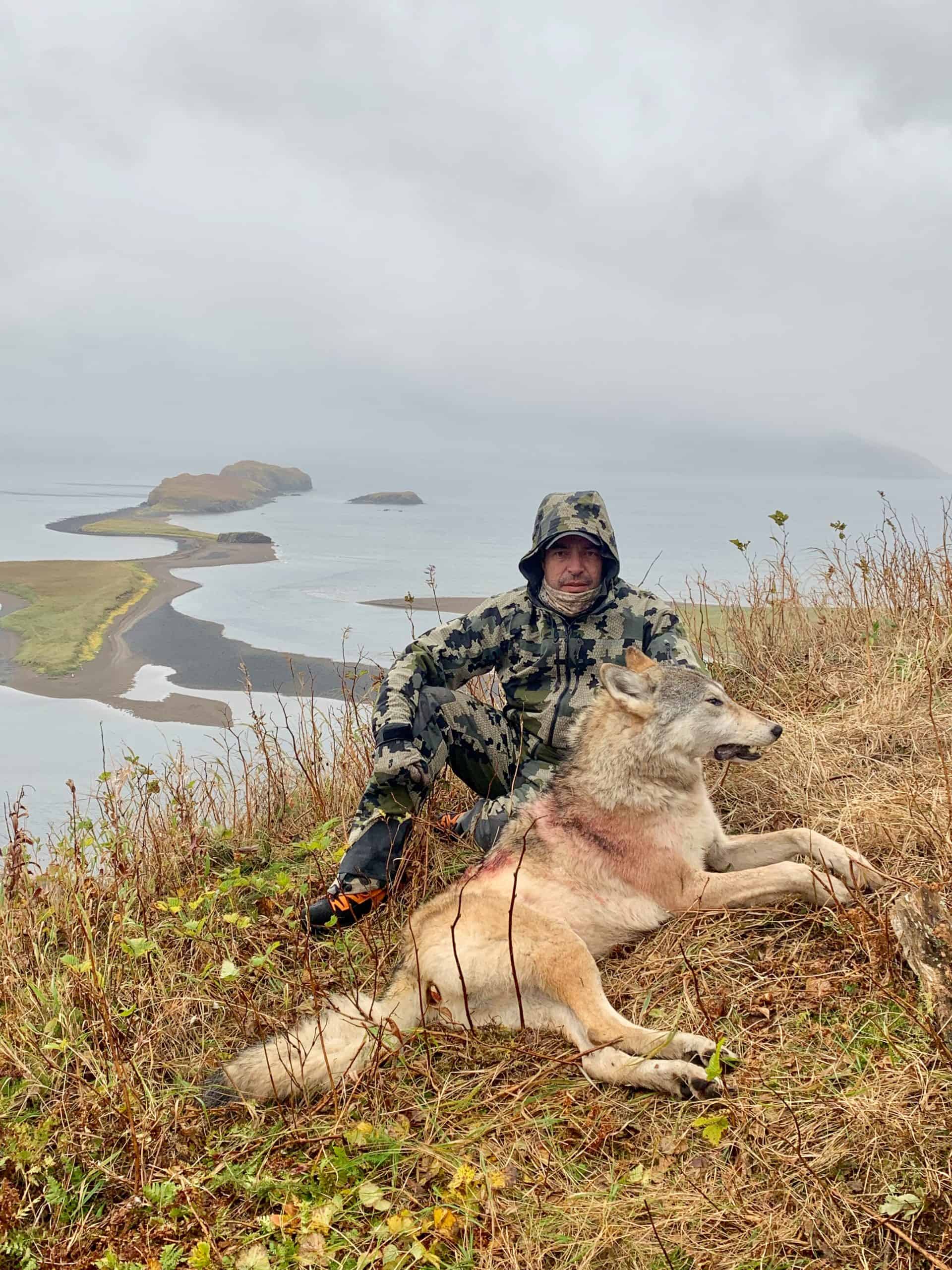 Trophy Bull Moose