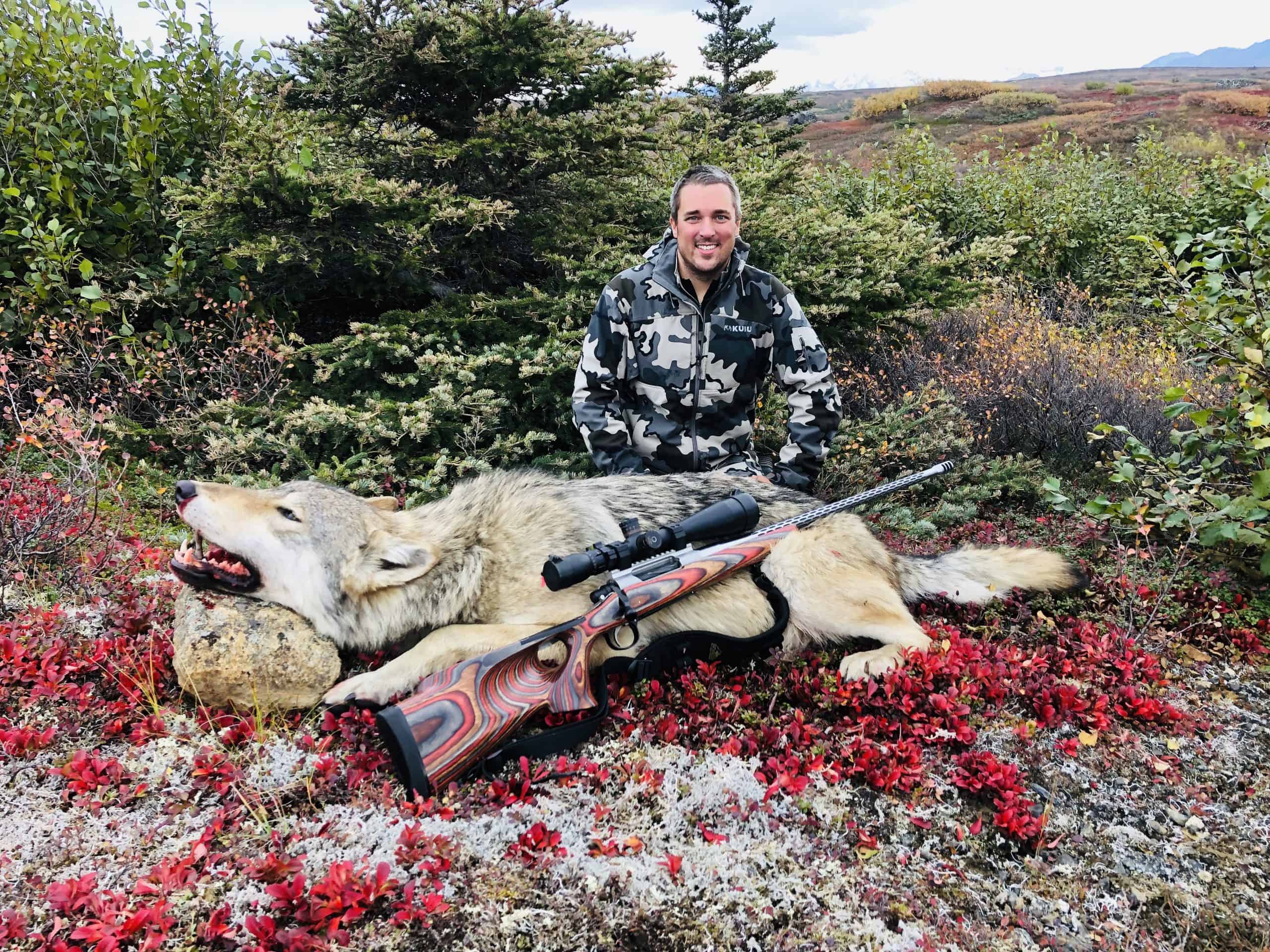 Trophy Bull Moose