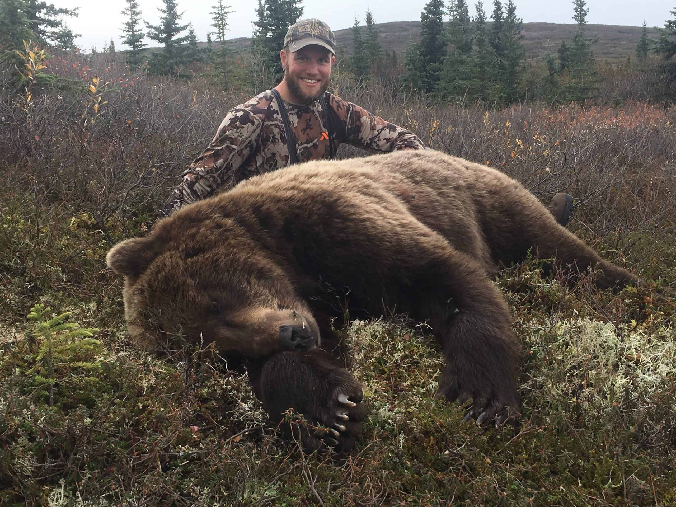 Grizzly bear guide: where they live, how they hunt and