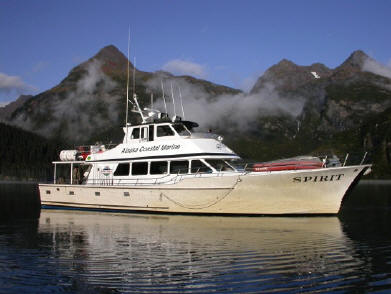 Alaska Brown Bear Hunting Boat Trophy Bull Moose