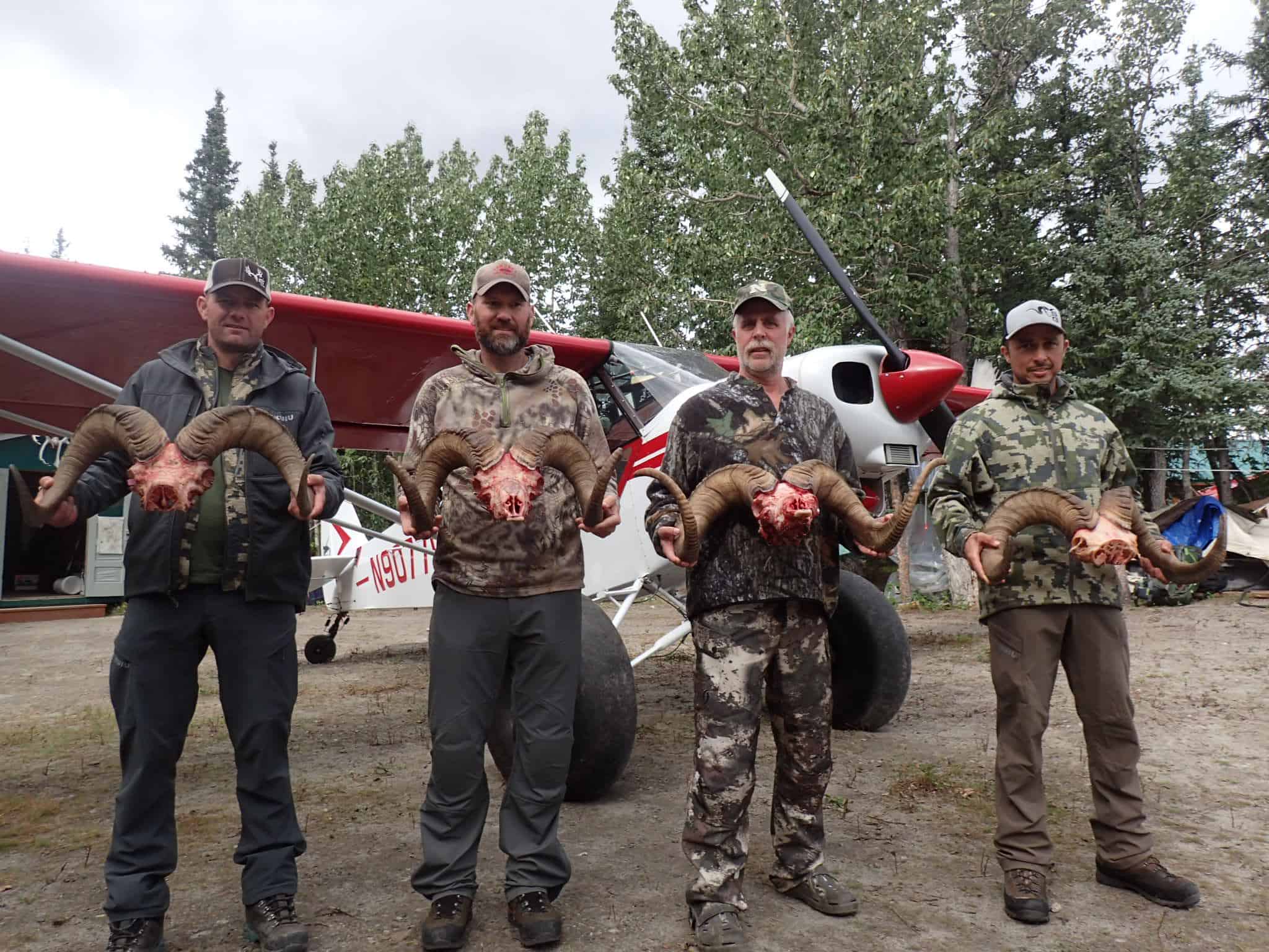 Alaska Dall Sheep Hunts
