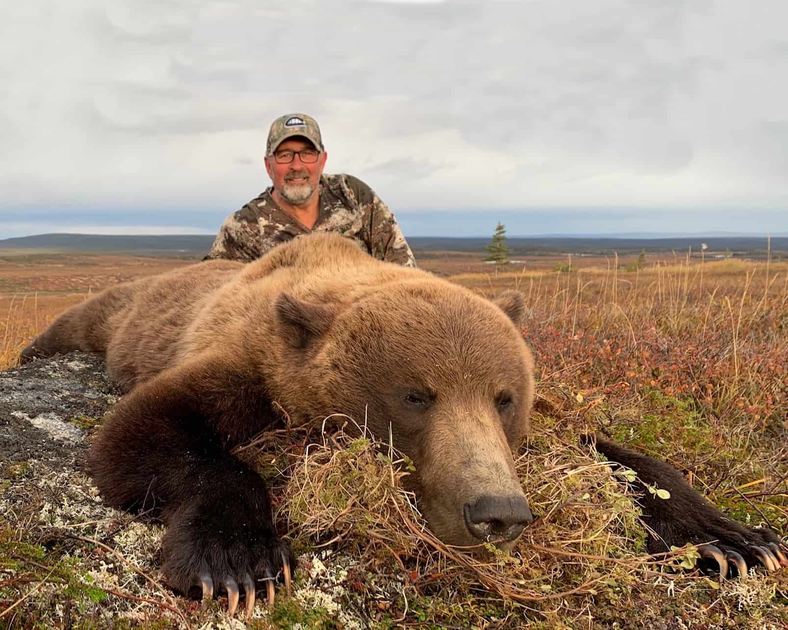 Alaska Grizzly Bear 2020