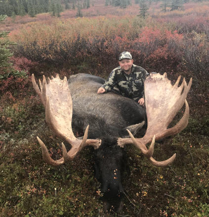 Moose | Alaska Brown Bear Hunts - Litzen Guide Service