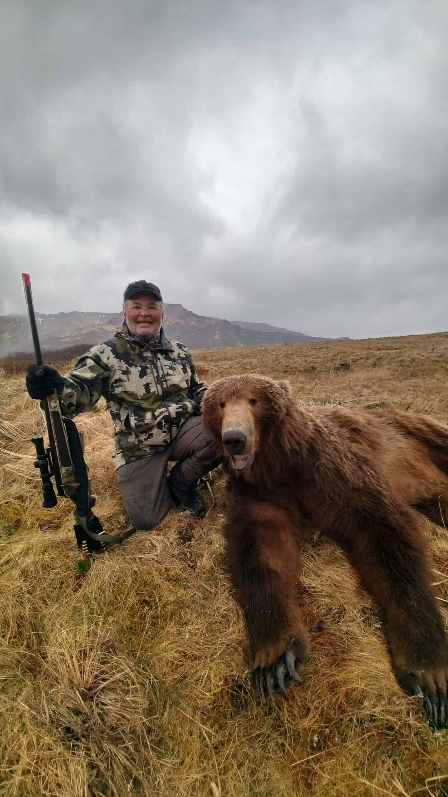 Alaska Brown Bear