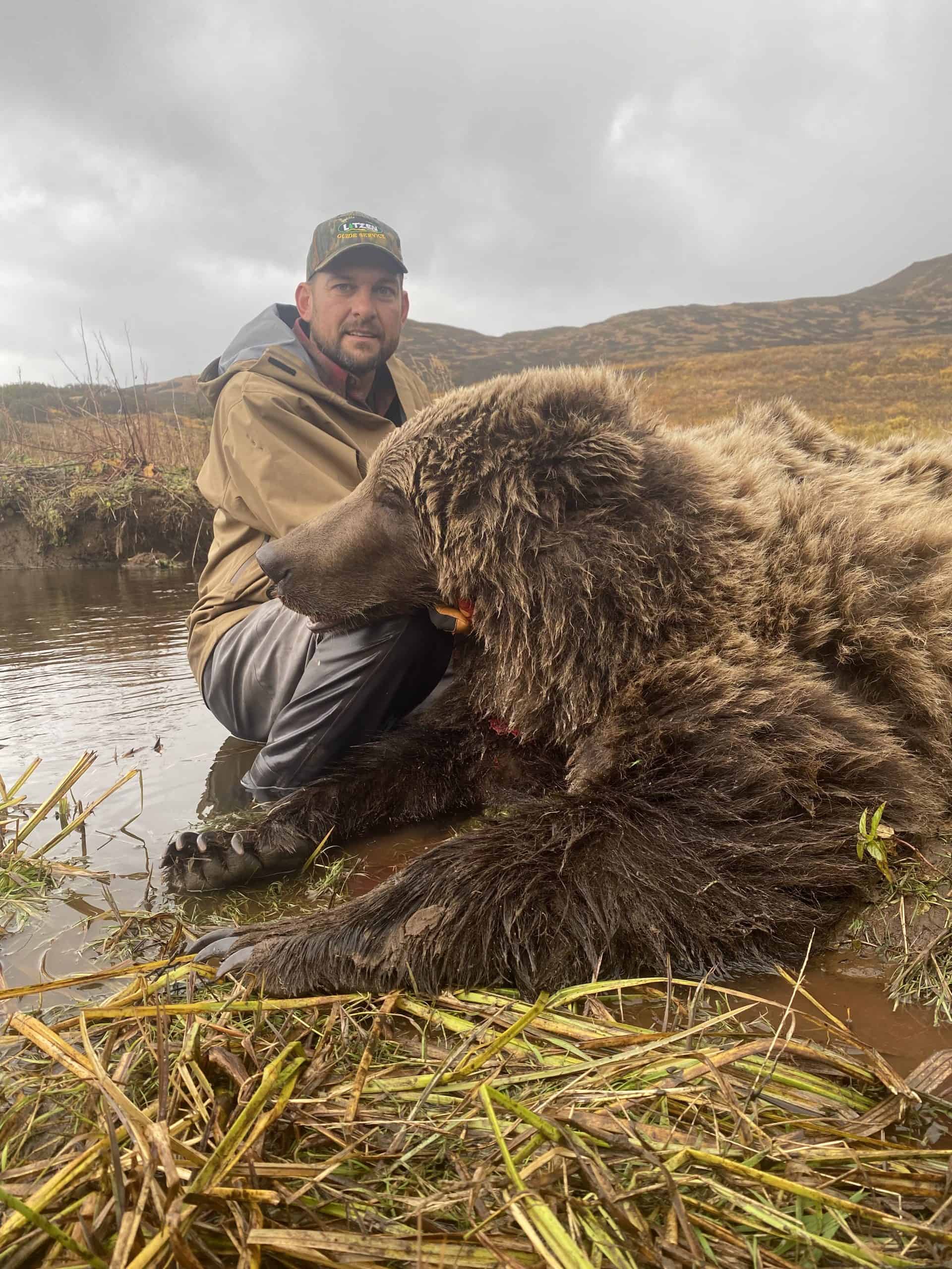 Fall 2021 Brown Bear