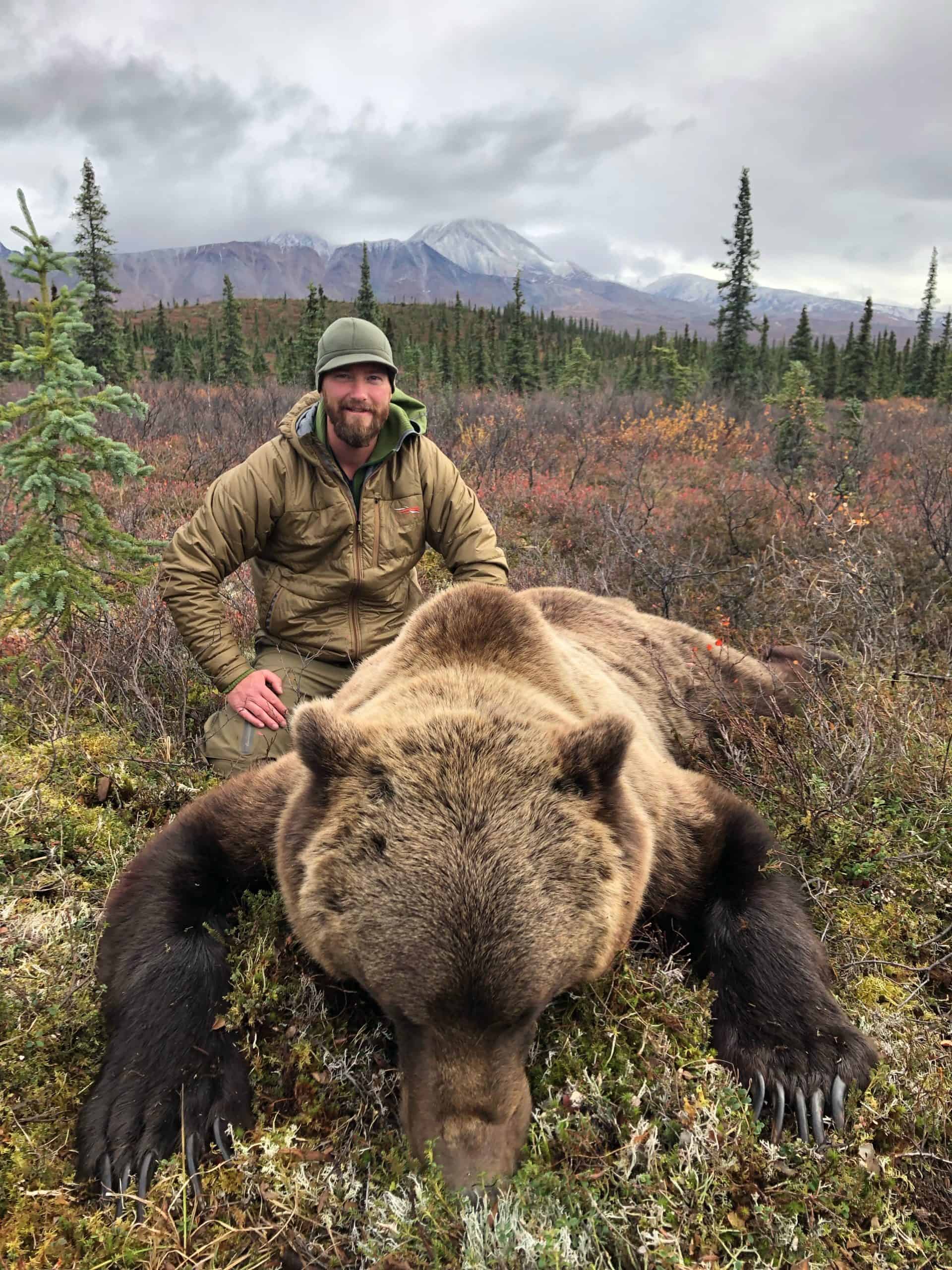 Alaska Grizzly Bear 2021
