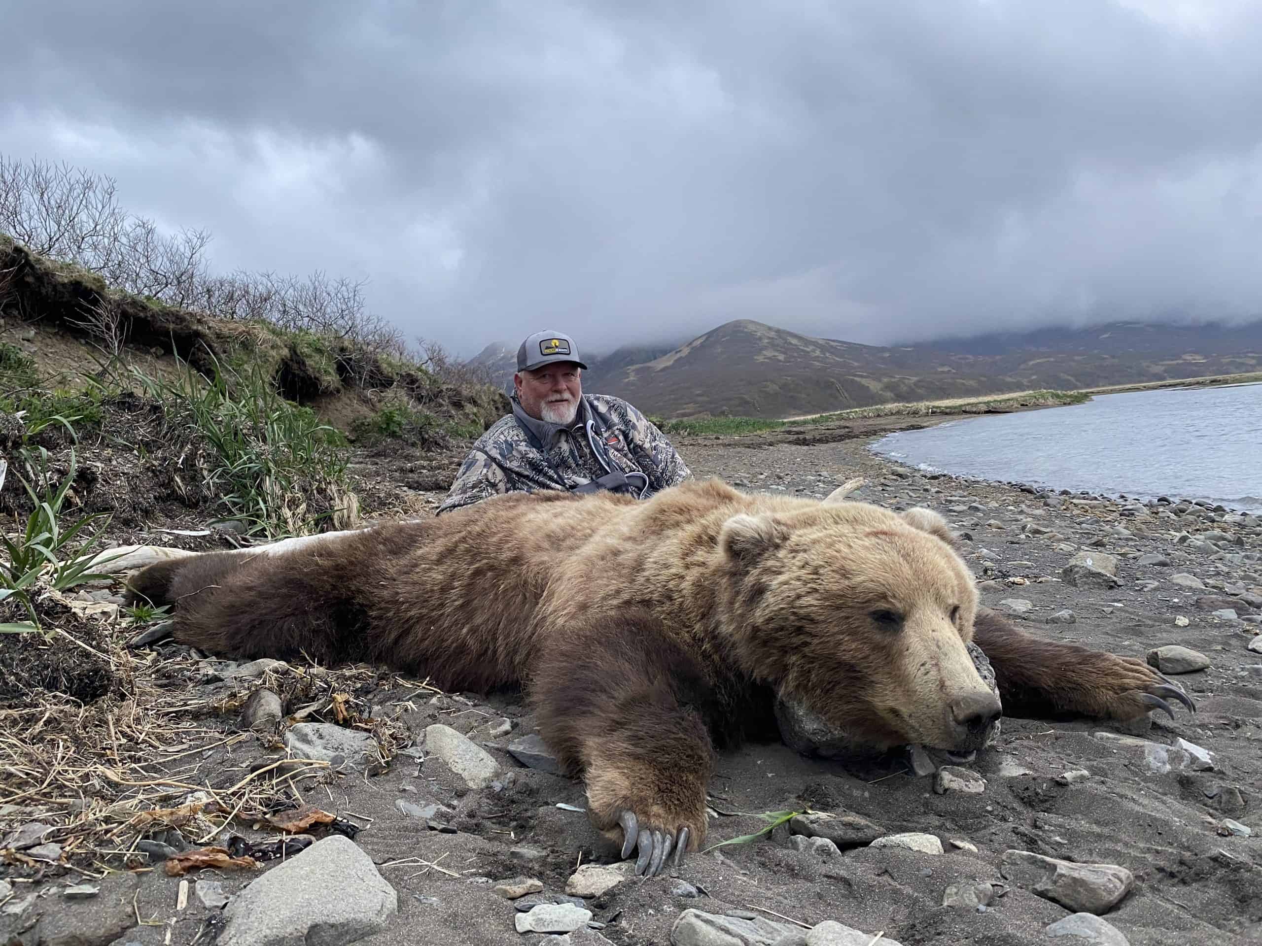 Fall 2021 Brown Bear