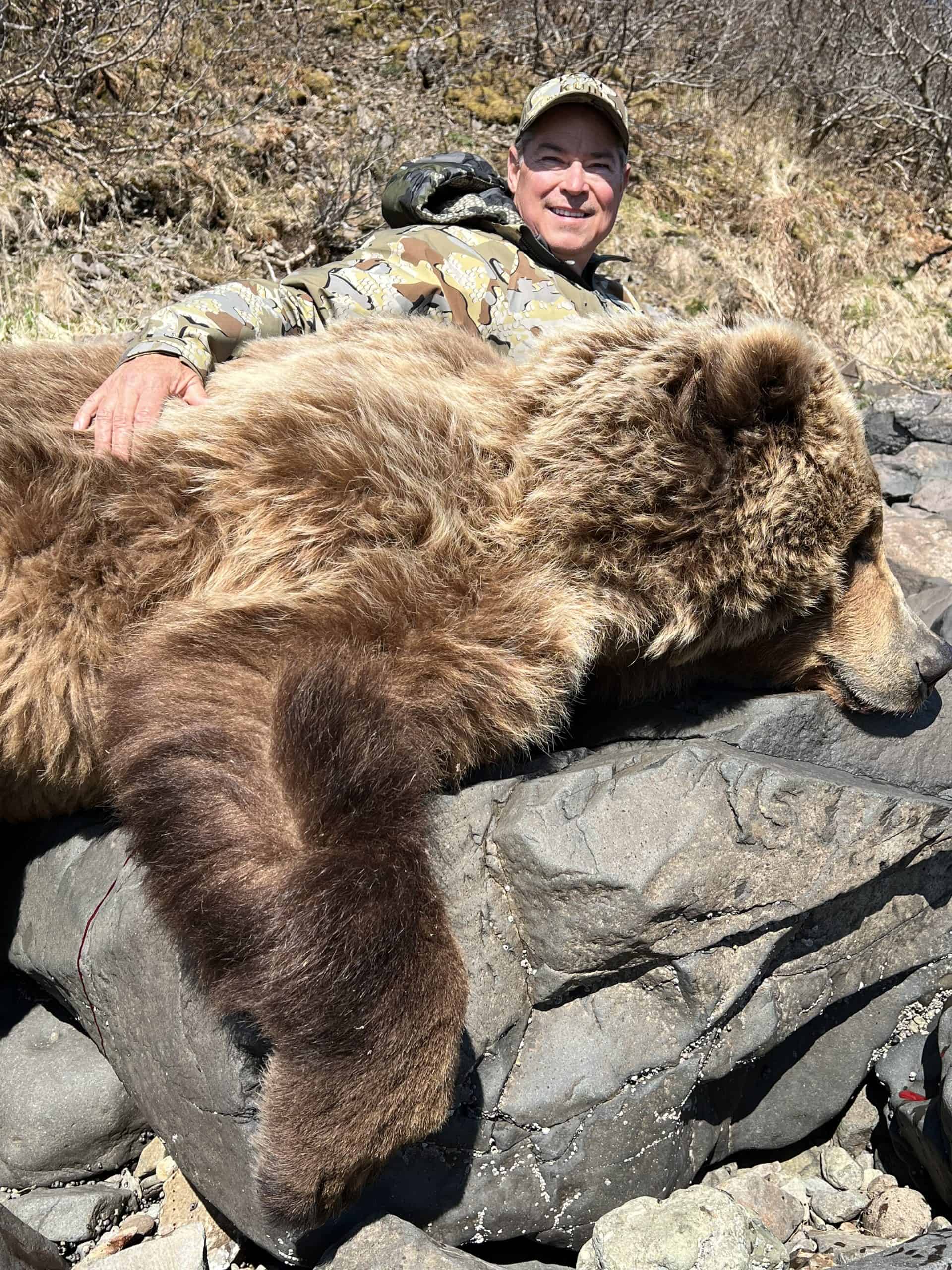 Alaska Brown Bear Trophy Bull Moose