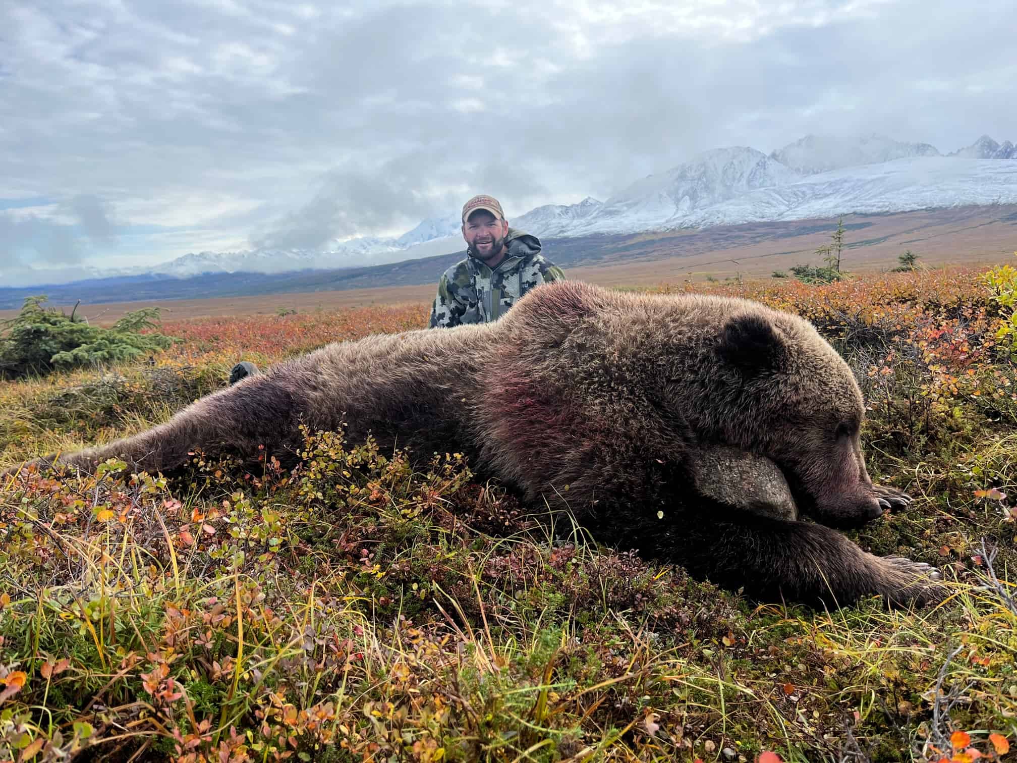 Alaska Grizzly Bear 