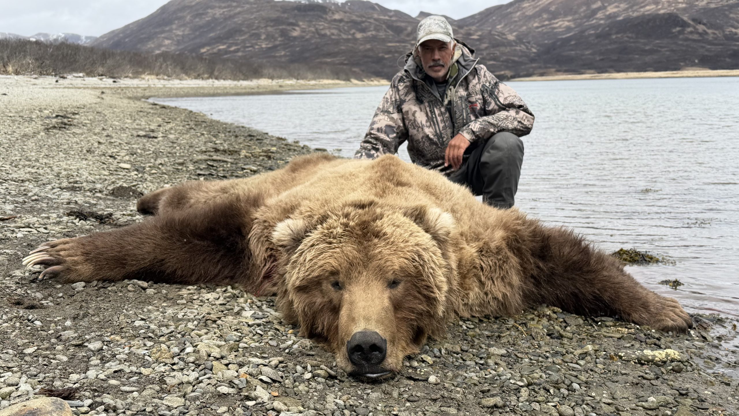 Fall 2021 Brown Bear