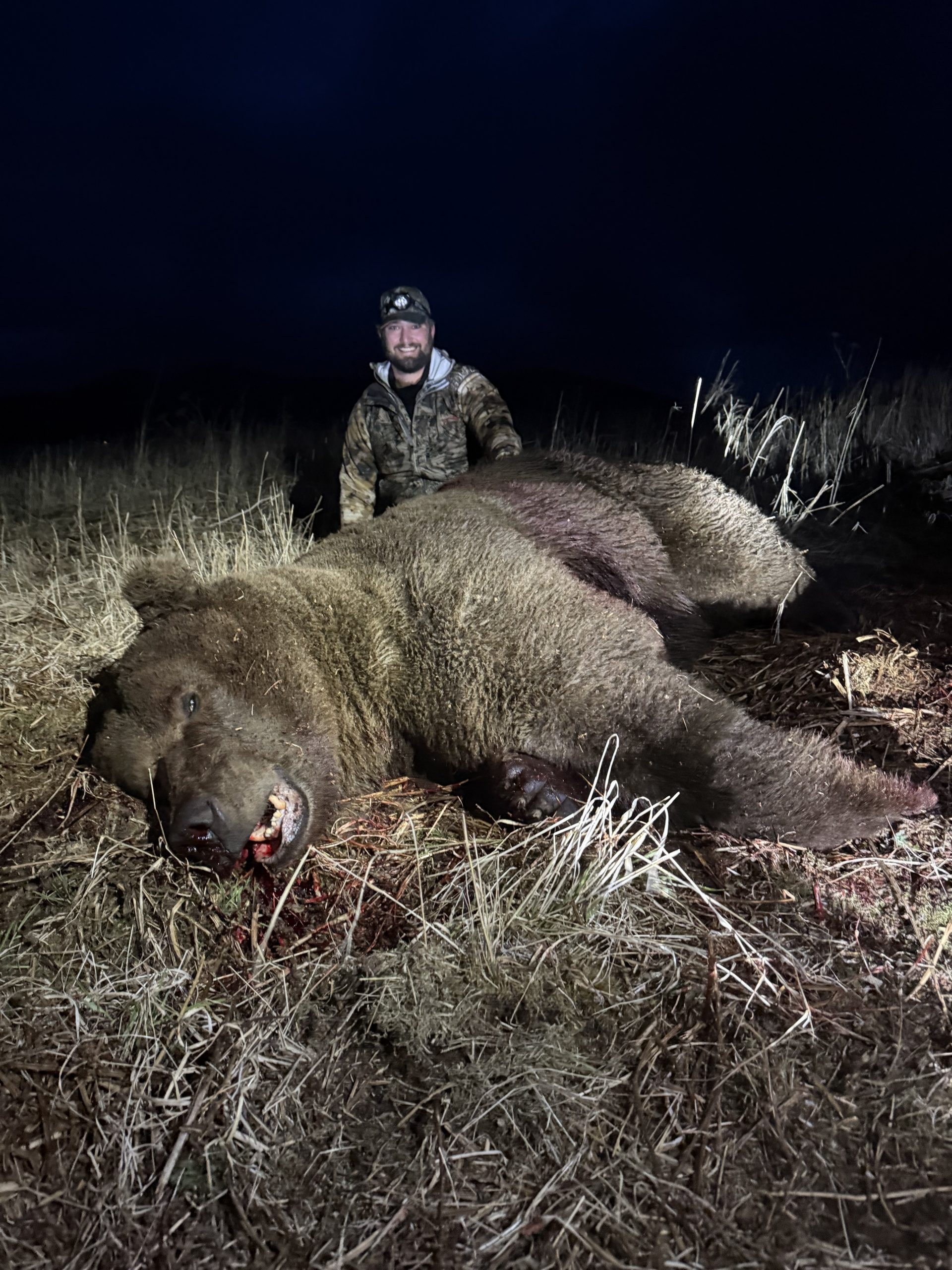 Fall 2021 Brown Bear