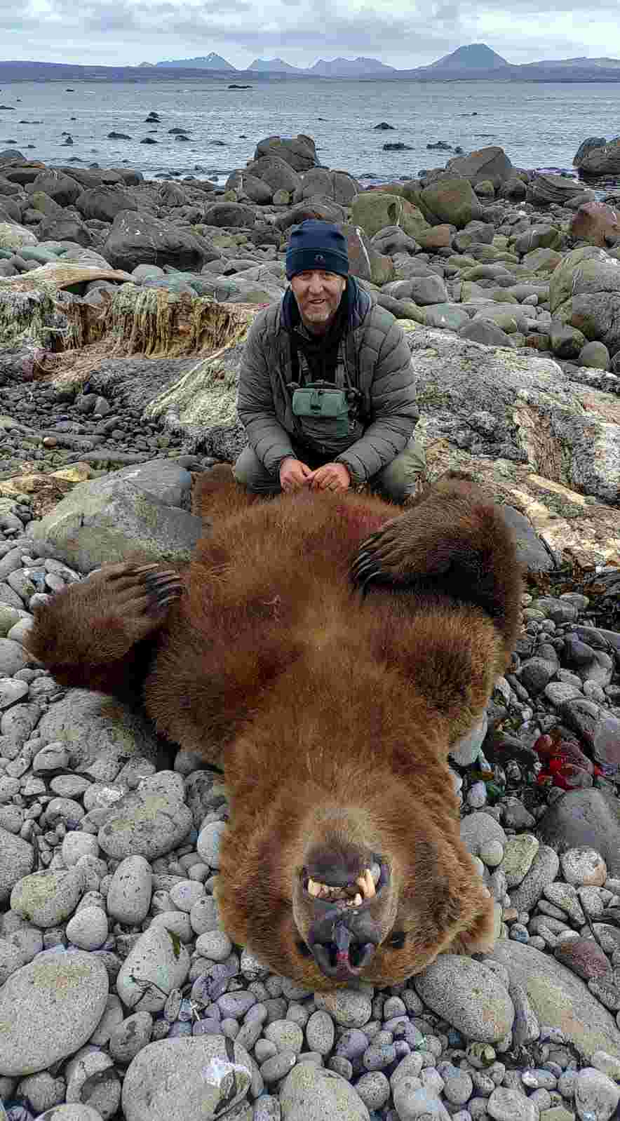 Fall 2021 Brown Bear