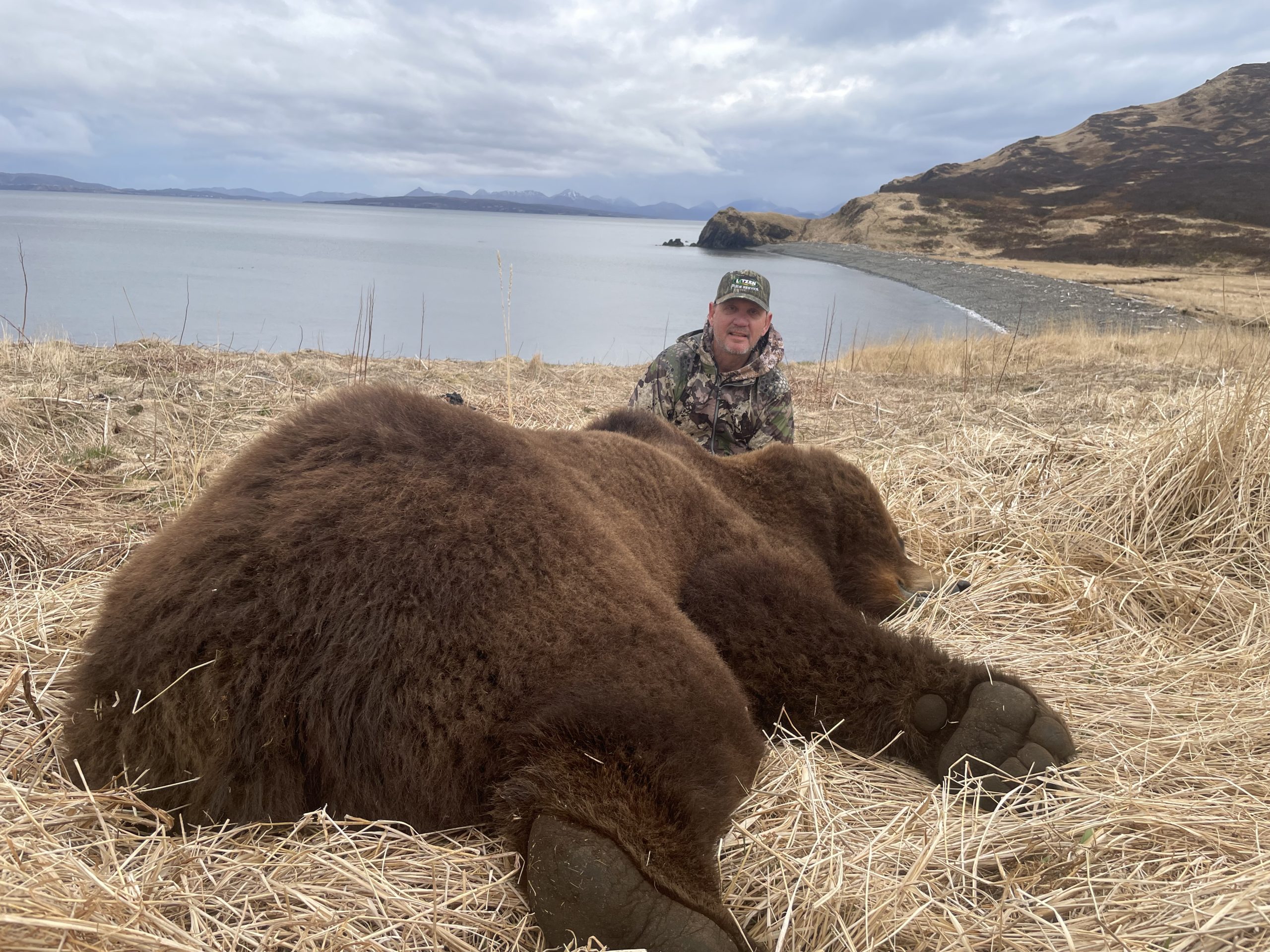 Fall 2021 Brown Bear