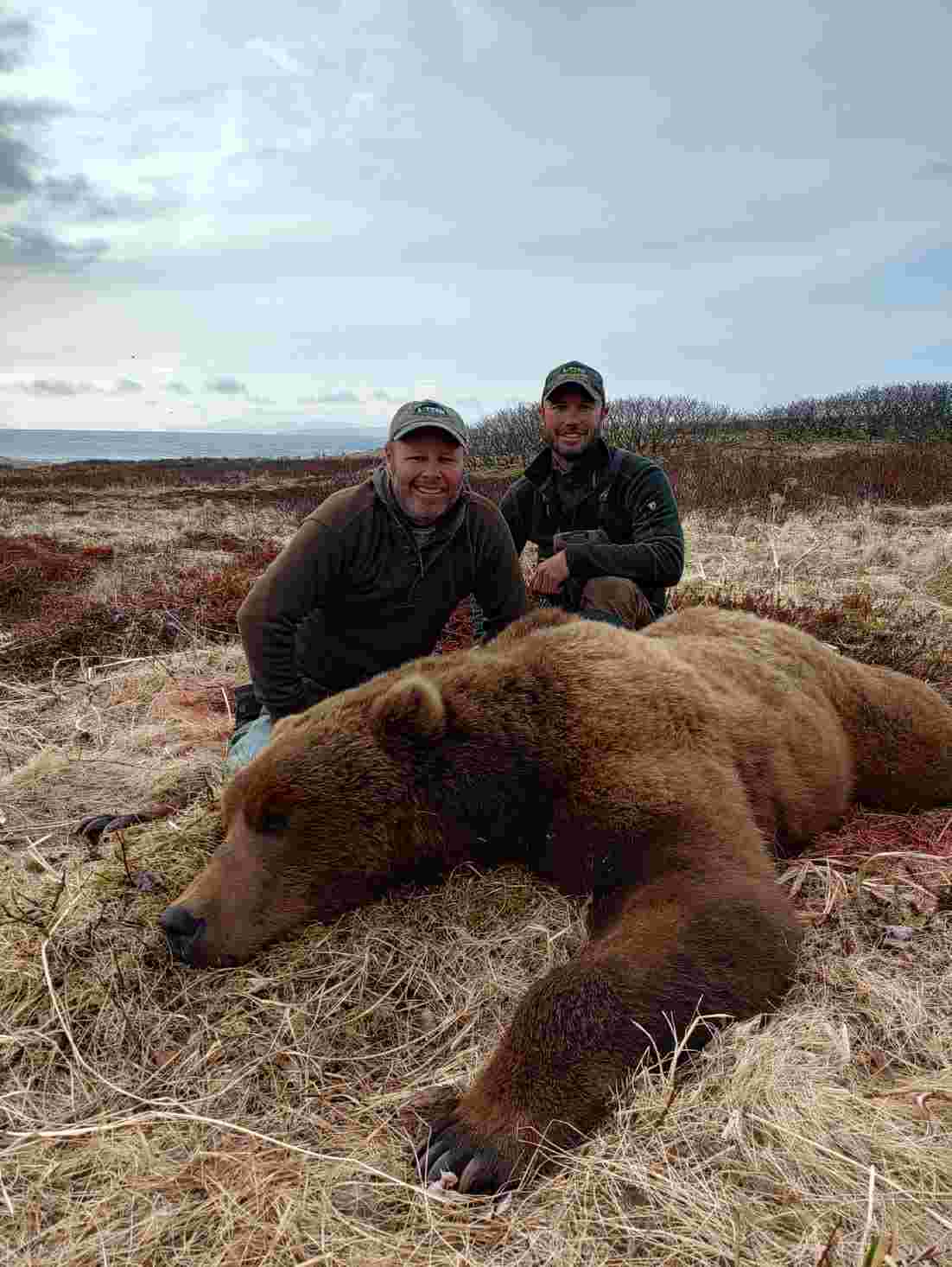 Fall 2021 Brown Bear